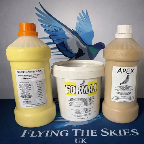 Racing pigeon breeding - pigeon, breeding/racing
