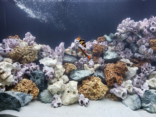 Aquarium rock fish tank - rock,