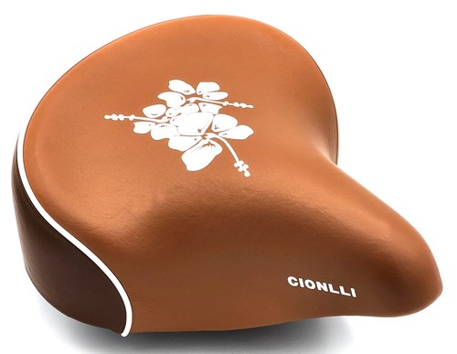 Made taiwan cionlli bike - in,
