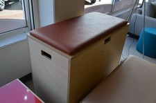 Storage Bench Padded Seat Large Padded Chest Toys Shoes Blanket Box Modular Tall