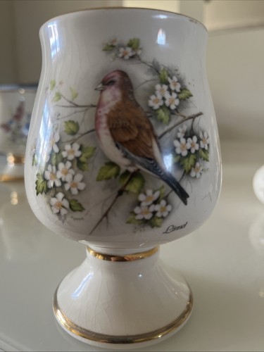 Vintage prinknash floral - prinknash,