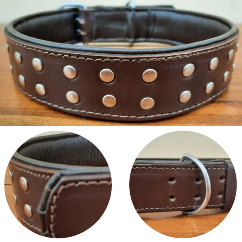Studded dog collar wide - dog,