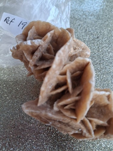 Beaitiful desert rose - desert,