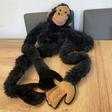 Wrap Around charley chimp