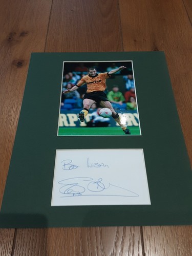 Wolverhampton wanderers steve - wolverhampton,