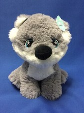 Grey white Fox Dog Star Eyes