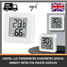 Digital LCD Thermometer