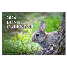Bunnies A4 Calendar 2026 –