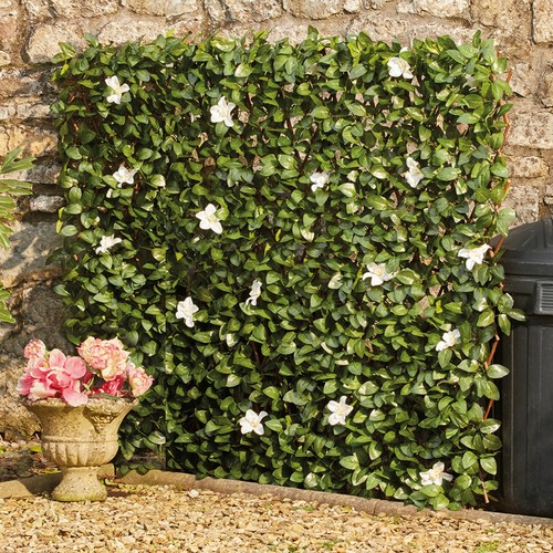 Garden screening trellis - garden,