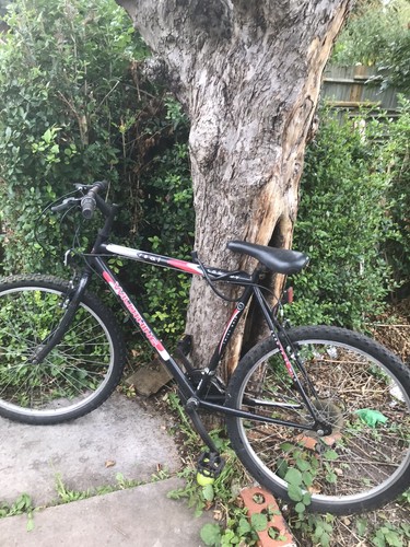 Mountain bike - mountain,