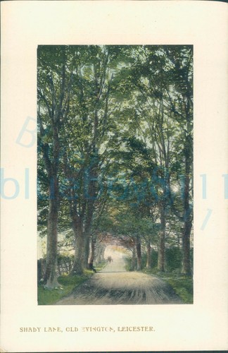 Leicester shady lane old - shady,