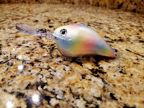 Custom painted rapala - painted, dt10