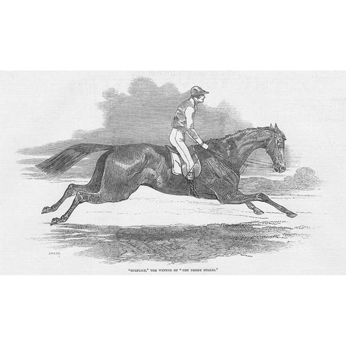 Horse racing surplice winner - horse,