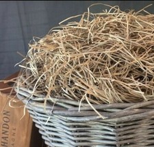 Eco Shredded Paper KRAFT