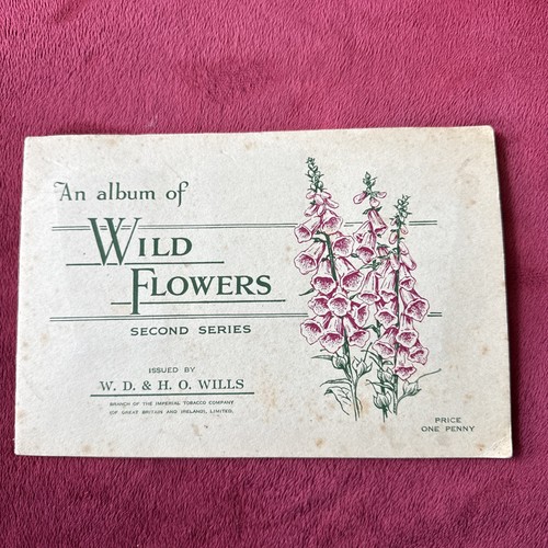 Wild flowers 1937 - flowers,