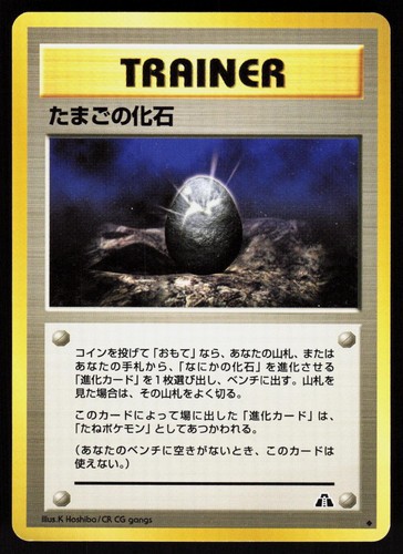 Fossil egg non - fossil,