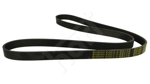 Ribbed belt 368941 - belt,