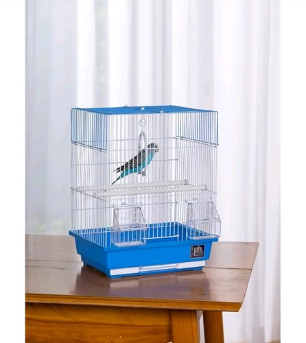 Prevue pet products flat - pet,