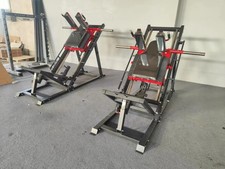 Dual leg press - leg, hack
