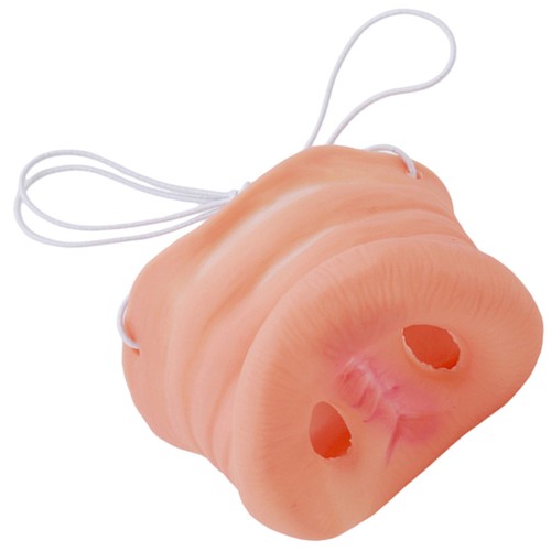 Halloween costume pig - pig, snout