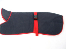 Clearance 30"  76cm GREYHOUND