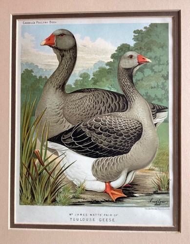 James watts pair of - james,