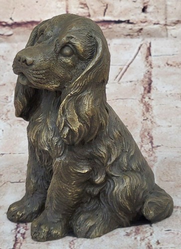 American cocker spaniel - american, on