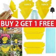 41pc Yellow Sticky Traps for