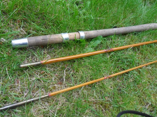 Split cane fly - split, geo.