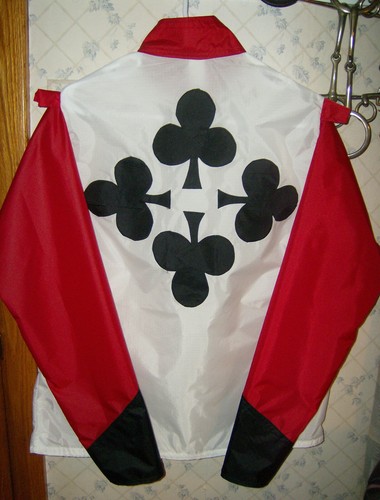 Horse racing jockey - horse, silks