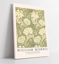 WILLIAM MORRIS 'CHRYSANTHEMUM'