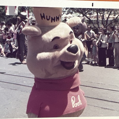 Winnie the pooh parade - the, furry