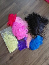 Feathers Mixed Ostrich Plumes