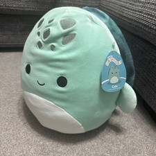 SQUISHMALLOW - COLE THE TURTLE