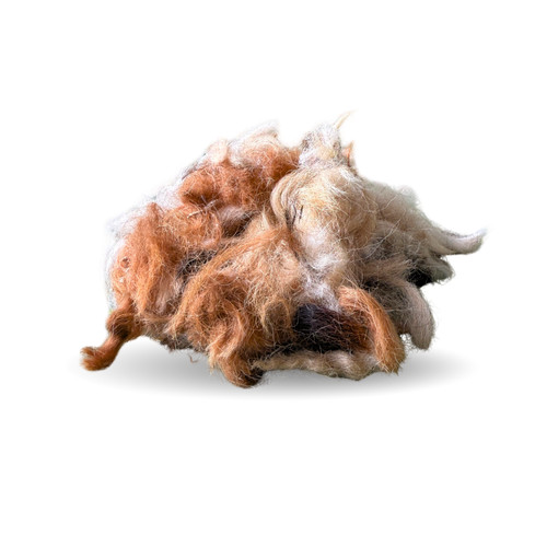 Raw mixed colour alpaca - alpaca, wool