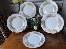 5 x Colclough / Royal Albert Wayside 8581 Floral Bone China Salad Plates 21cm