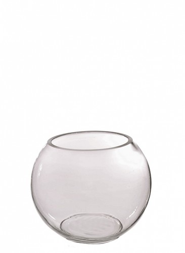 Clear glass fish - bowl, vase