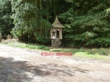 PHOTO  SMALL TREE HOUSE AT