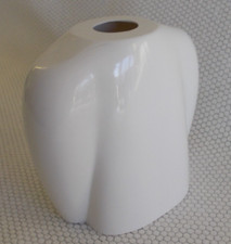 Acro Wot White Cowl Kit built