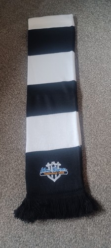 Alan shearer testimonial - shearer,