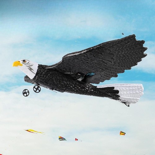Aircraft bird toy - hobby, rc