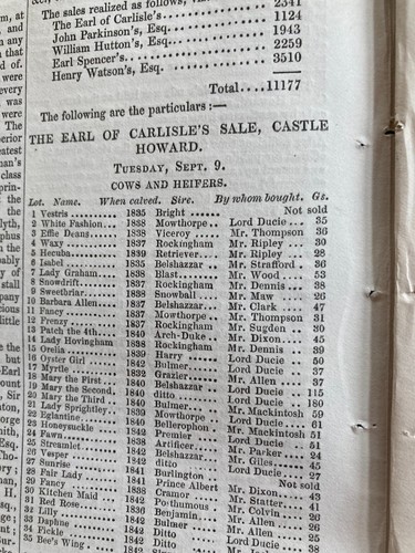 1845 antique paper - antique, shorthorn