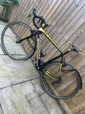 Boardman Men's Road Bike Race