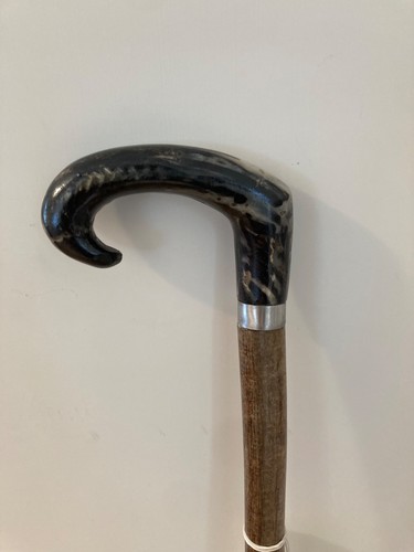 Rams horn handle walking - rams,