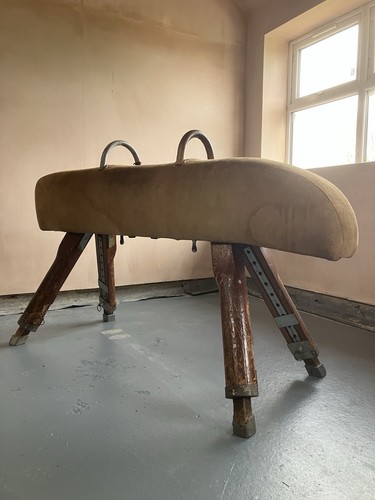 Vintage gymnastic pommel - vintage,