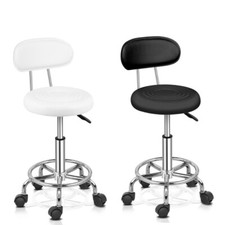 New Backrest Salon Stool