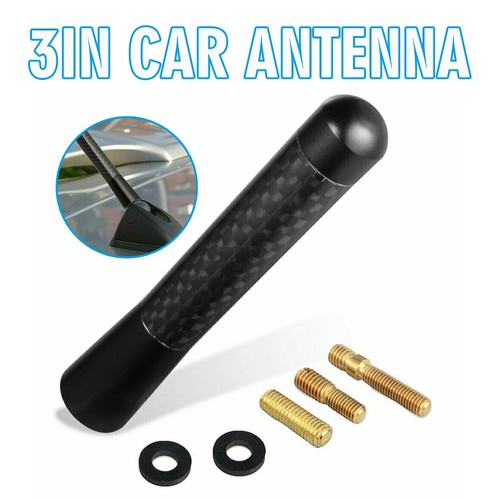 Rear carbon fiber inch short - rear, 3