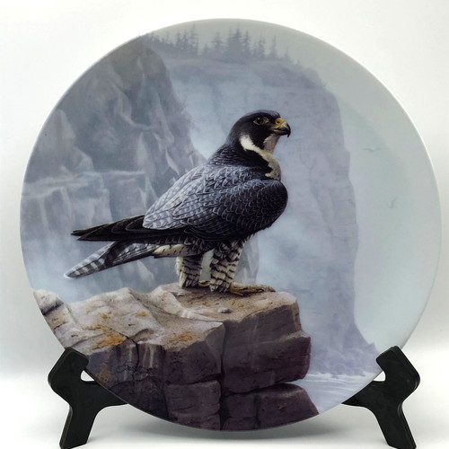 The peregrine falcon - the,