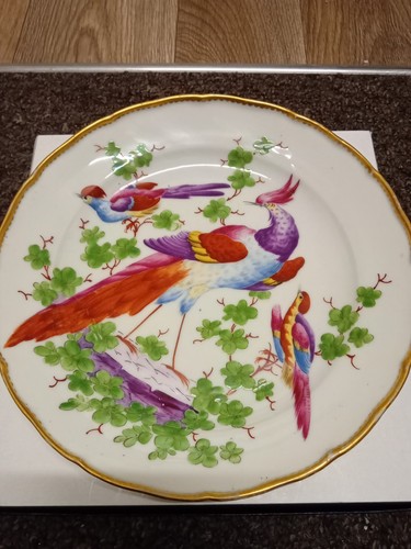 1800 chelsea exotic birds - c.1800,
