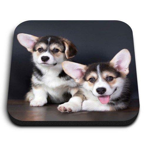 Square mdf magnets - -, cute